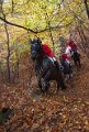 IMG_1207