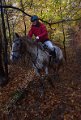IMG_1247
