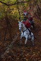 IMG_1257