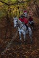 IMG_1258