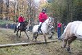 IMG_1684