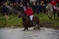 IMG_1934