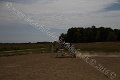 IMG_9310