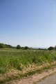 IMG_2854