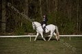 IMG_6522
