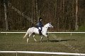 IMG_6532