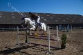 IMG_9009