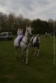 IMG_9293
