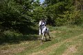 IMG_2224