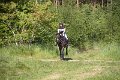 IMG_2229