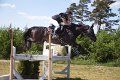 IMG_2241