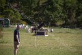 IMG_2245