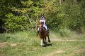 IMG_2272