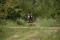 IMG_2331