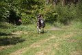 IMG_2333