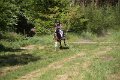 IMG_2334