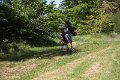 IMG_2335