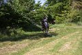 IMG_2336