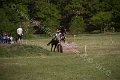 IMG_2351
