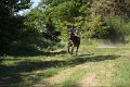 IMG_2460