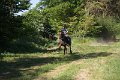 IMG_2461
