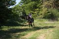 IMG_2462