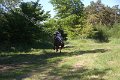 IMG_2484
