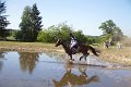 IMG_2532