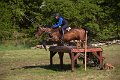 IMG_2601