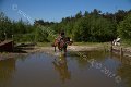 IMG_1131