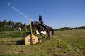 IMG_1037