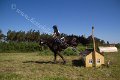 IMG_1041