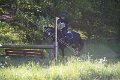 IMG_1045