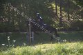 IMG_1050