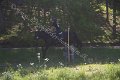 IMG_1052