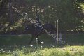 IMG_1053