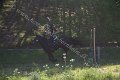 IMG_1054