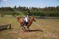IMG_1512