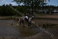 IMG_1575
