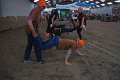 IMG_2784