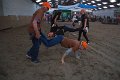 IMG_2785