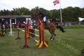 IMG_4531