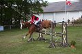 IMG_4156