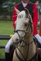 IMG_4290