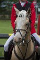 IMG_4291