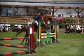 IMG_3396