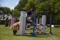 IMG_3428