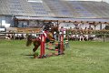 IMG_3510