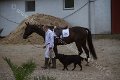 IMG_6487