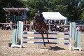 IMG_5547